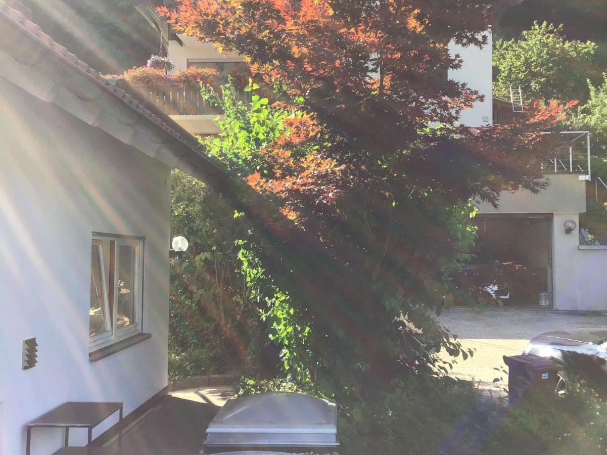 באד ווילבאד Ferienwohnung Am Eiberg מראה חיצוני תמונה